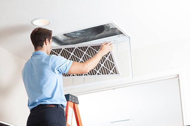 Best Air Filters and Purifiers in Hammond, LA